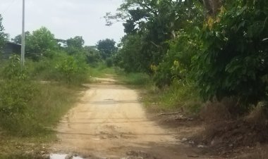 Kenapa Jalan Unggas Simpang Tiga Tidak Sampai Ke Ujung