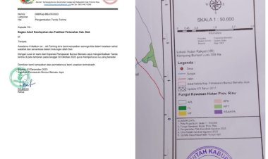 Cara Kuasai Tanah Ratusan Hektare Tanaman Akasia, Koperasi PBBJ Pakai Cap Stempel Setda Siak