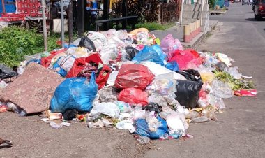 Halte Transmetro Pekanbaru Disesaki Tumpukan Sampah